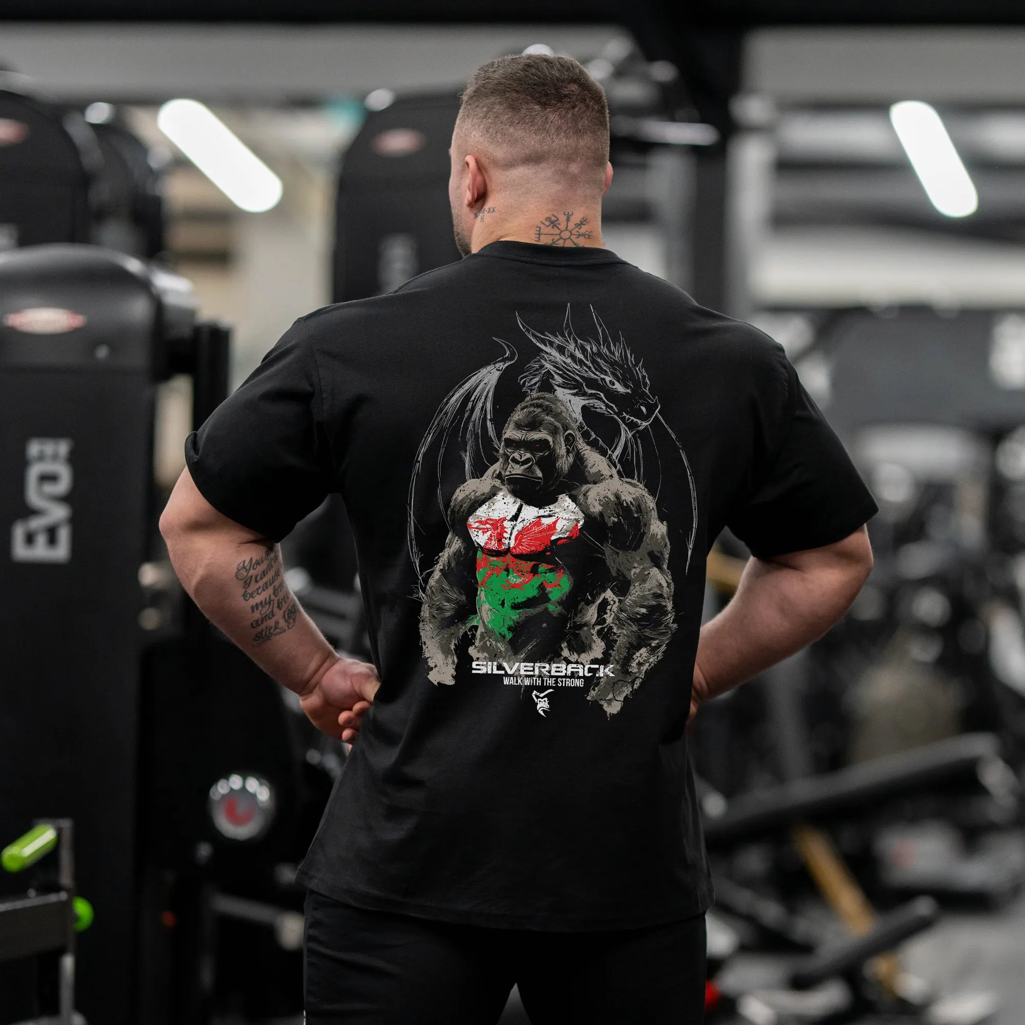 Welsh Dragon (Y Ddraig Goch) T-Shirt